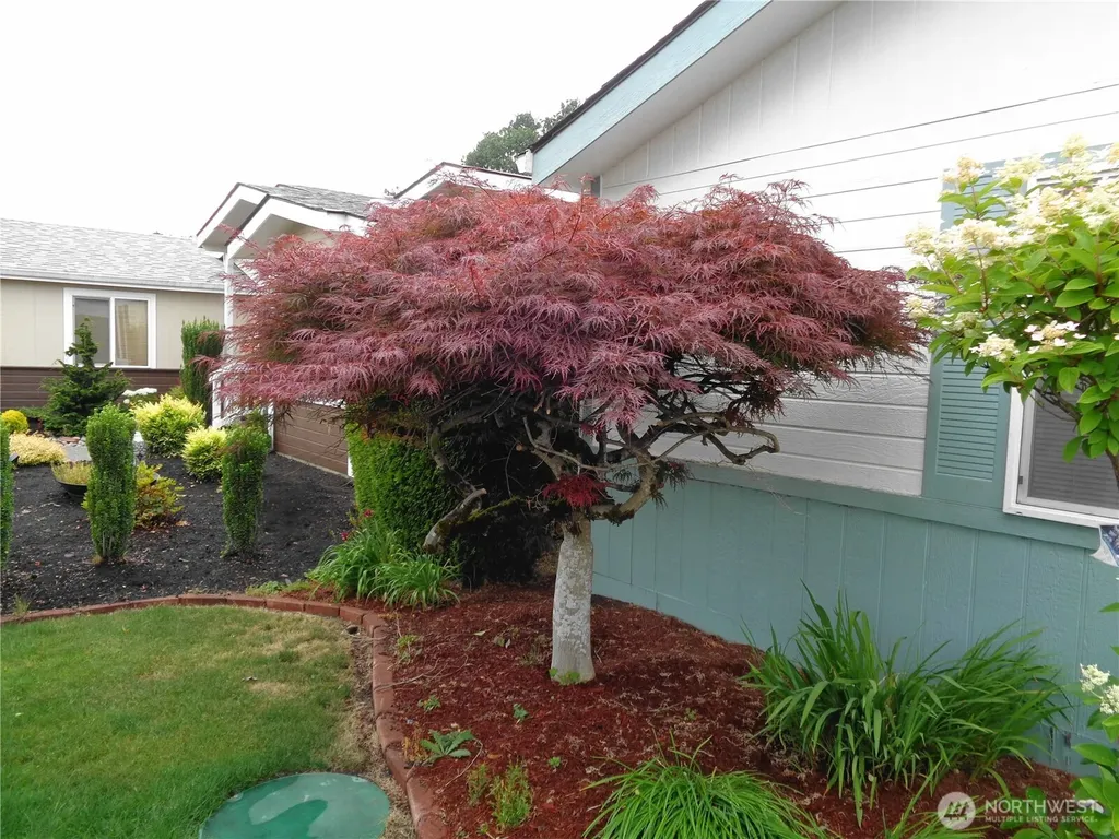 8138 18th Lane SE Lacey WA 98503