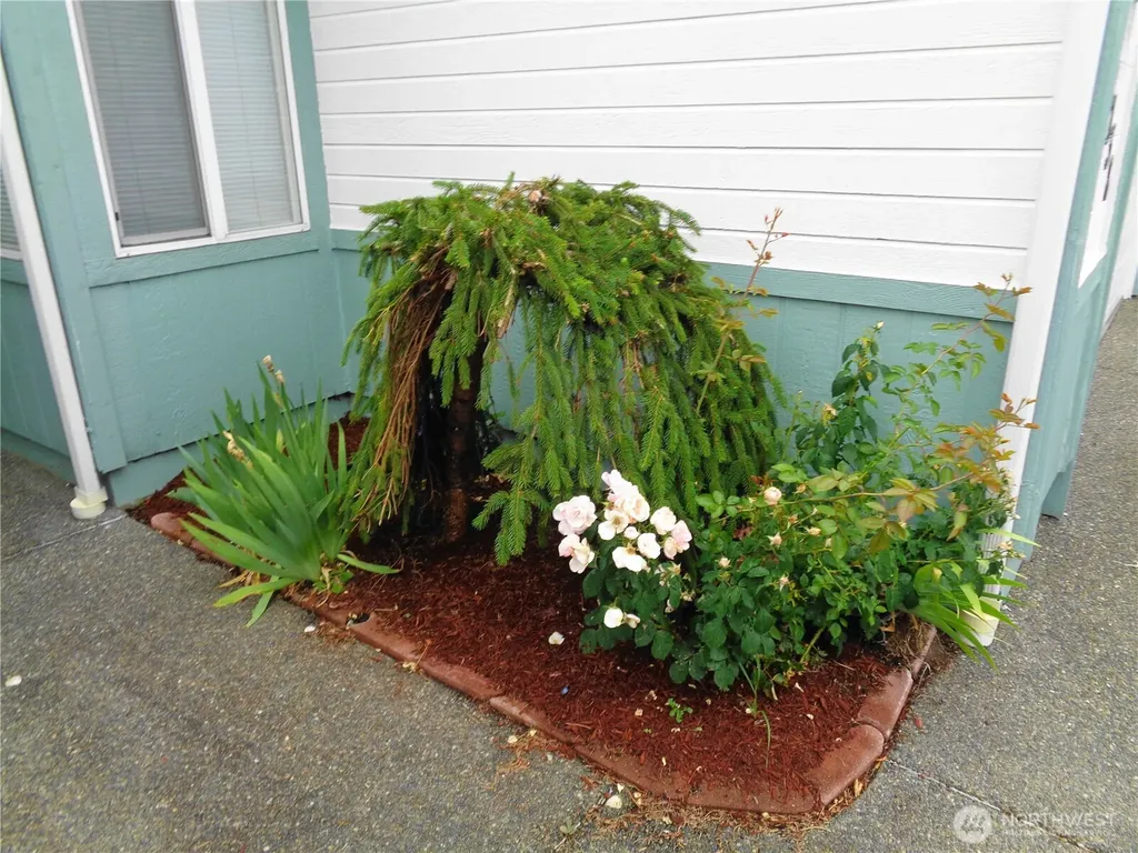 8138 18th Lane SE Lacey WA 98503