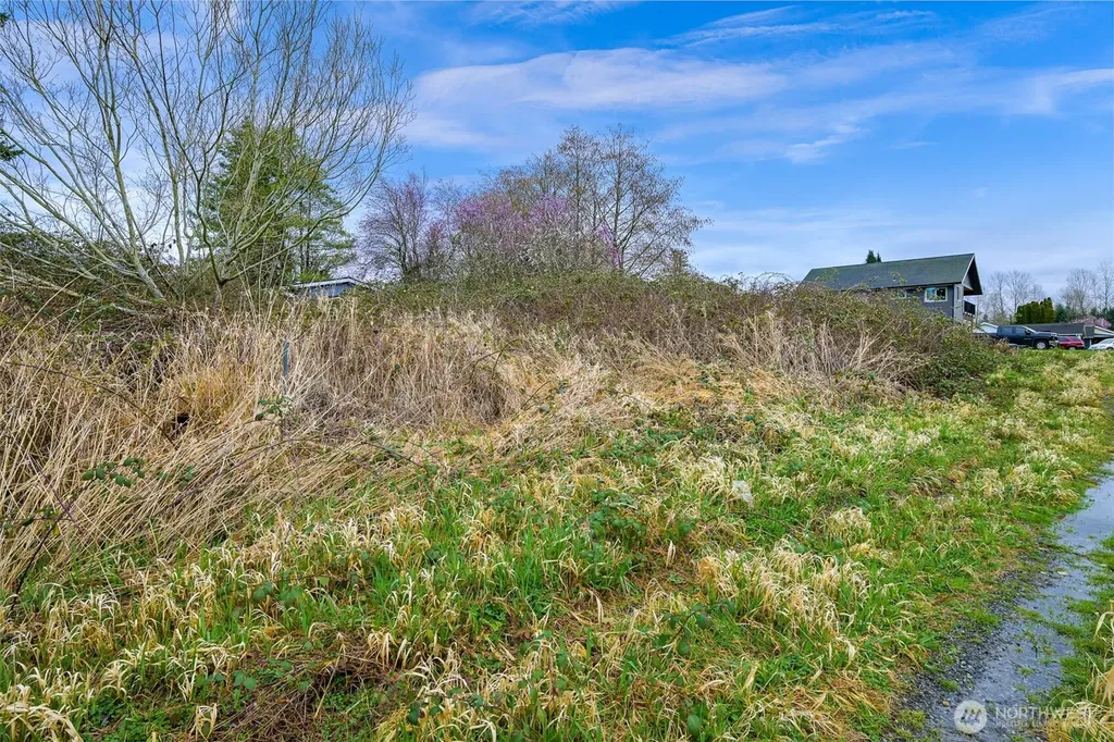 944 Georgia Street Blaine WA 98230