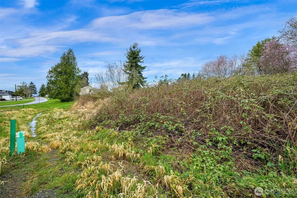 944 Georgia Street Blaine WA 98230