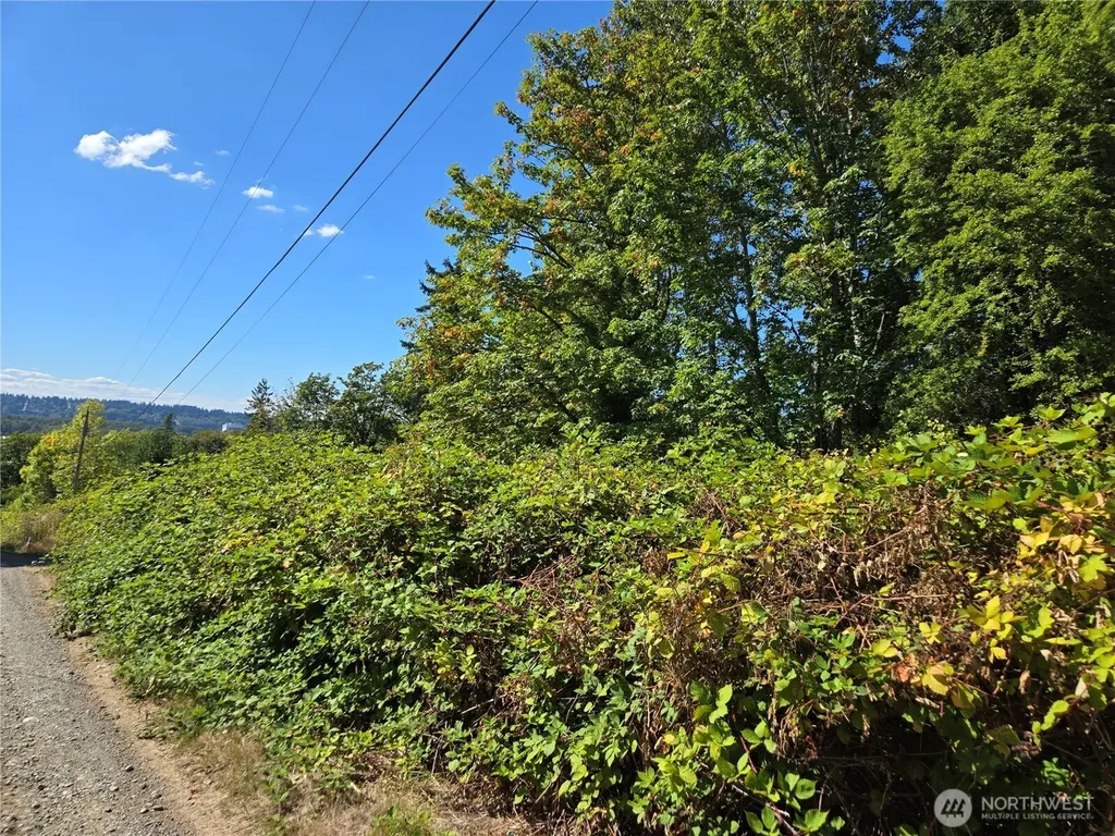 3106 Talbot Road S Renton WA 98055
