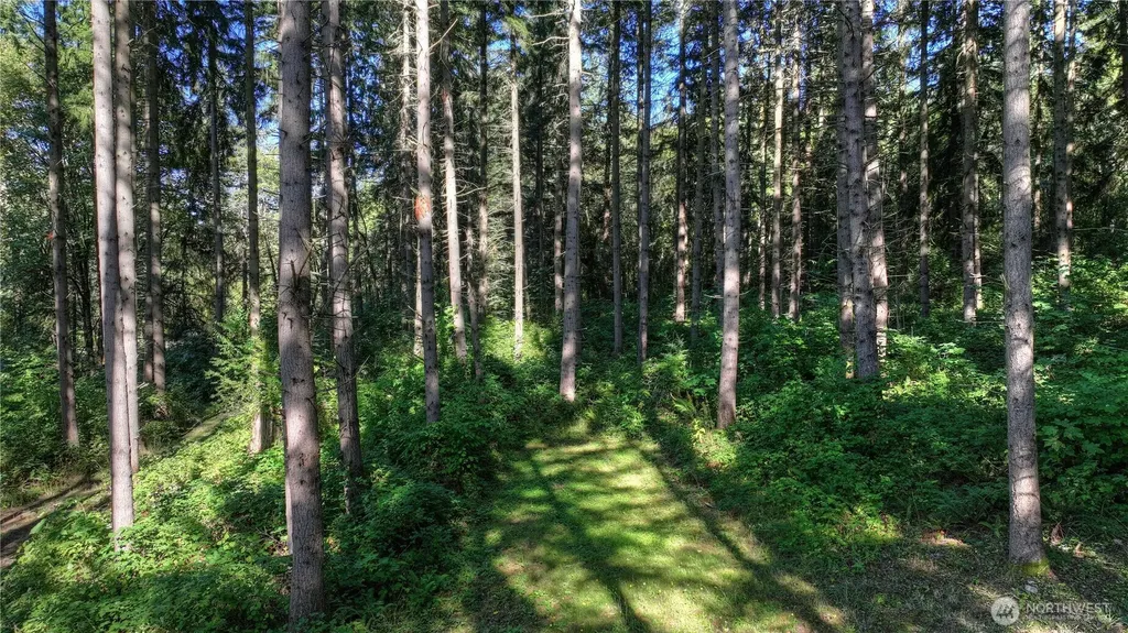32408 146th Avenue E Graham WA 98338