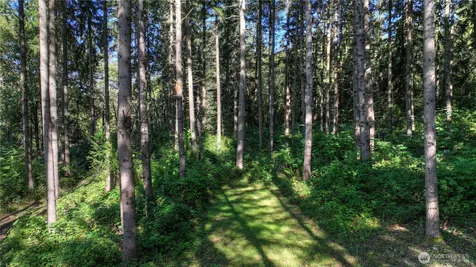 32408 146th Avenue E Graham WA 98338