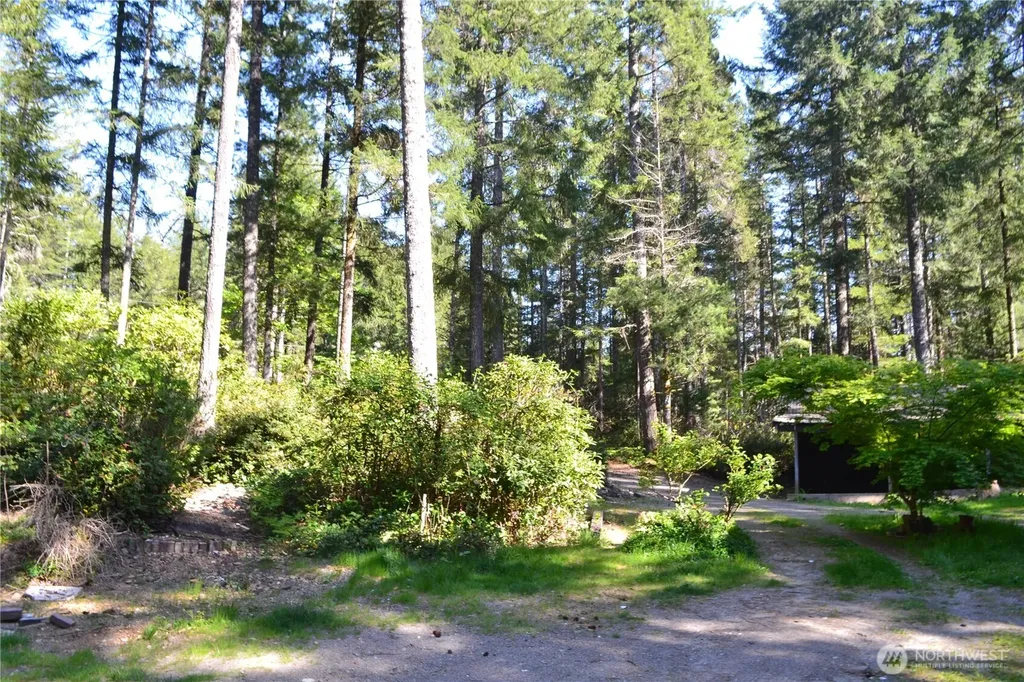 80 NE Collins Drive E Tahuya WA 98588