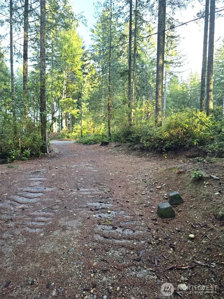 80 NE Collins Drive E Tahuya WA 98588