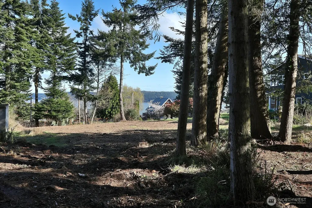 0 Salmonberry Road Langley WA 98260