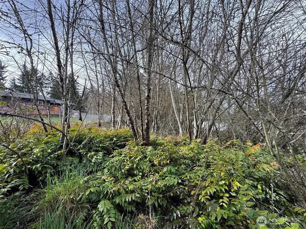 9999 W 8th Street Port Angeles WA 98363