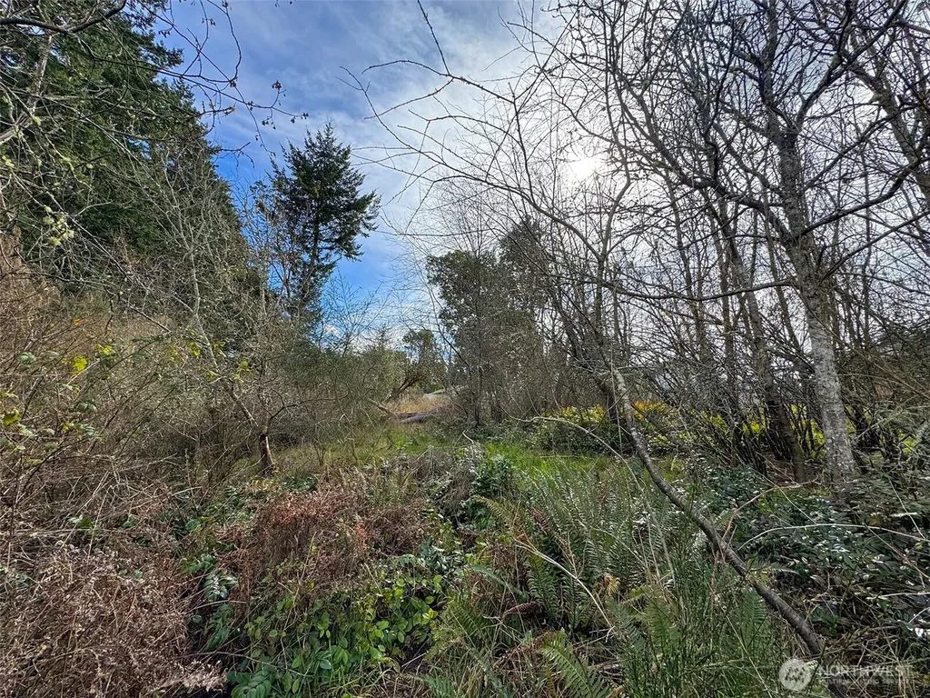 9999 W 8th Street Port Angeles WA 98363