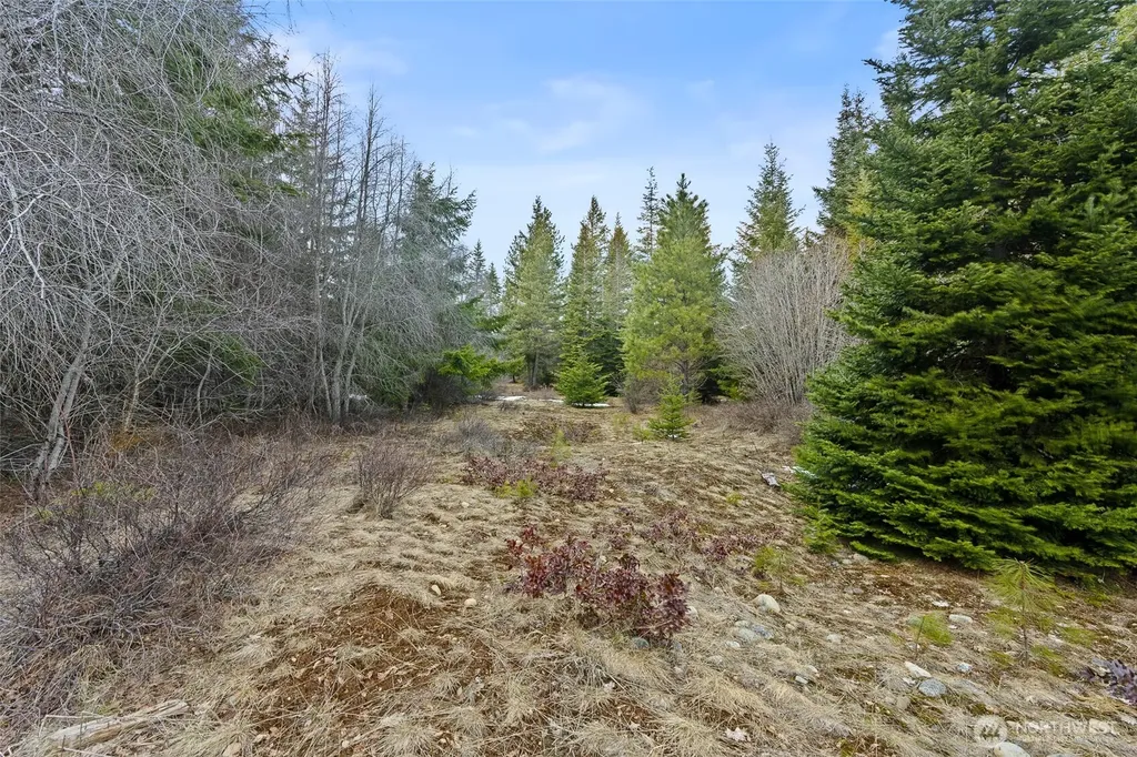 3301 Jenkins Drive Cle Elum WA 98922