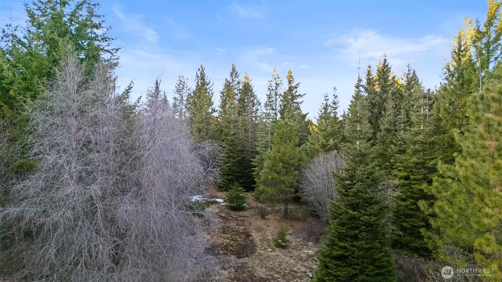 3301 Jenkins Drive Cle Elum WA 98922