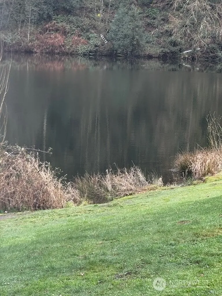 27120 NE 152nd Street Duvall WA 98019