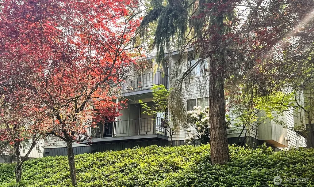 3838 Lake Washington Boulevard SE Bellevue WA 98006