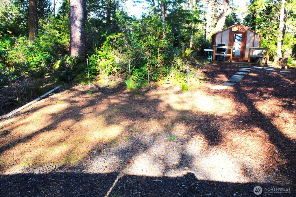 43 Dolphin Lane Copalis Beach WA 98535