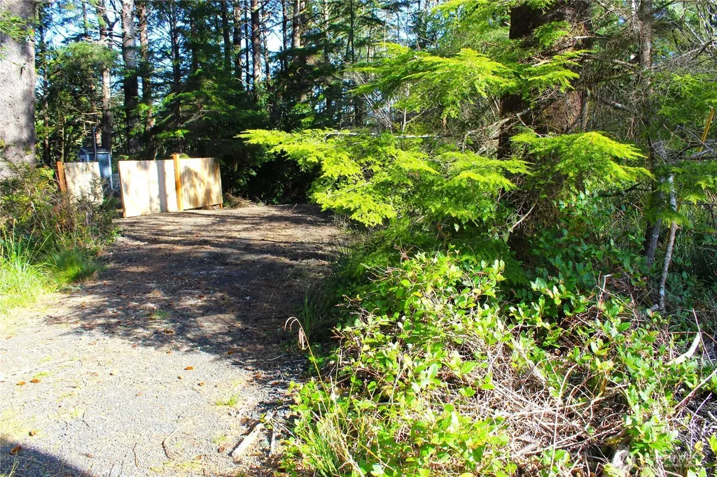43 Dolphin Lane Copalis Beach WA 98535