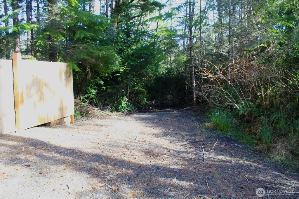 43 Dolphin Lane Copalis Beach WA 98535