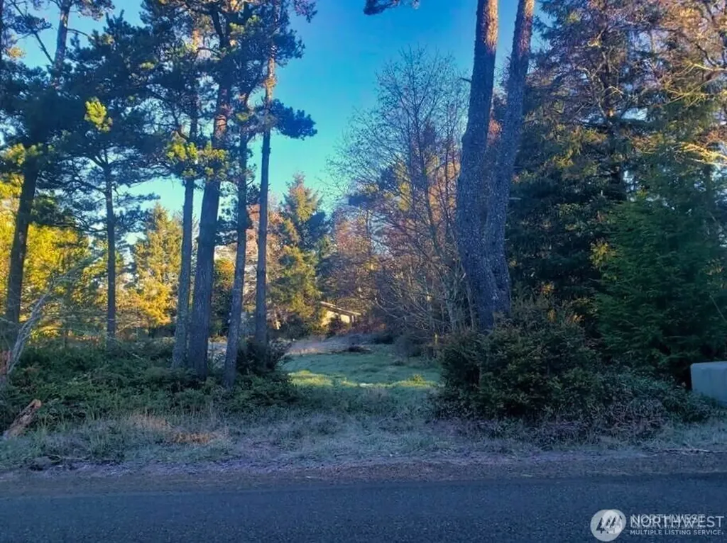30510 O Place Ocean Park WA 98640