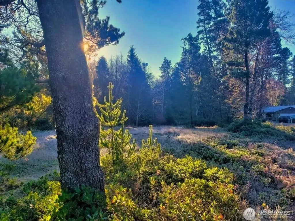 30510 O Place Ocean Park WA 98640