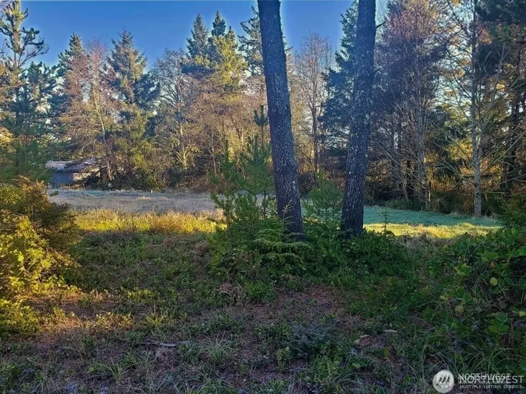 30510 O Place Ocean Park WA 98640