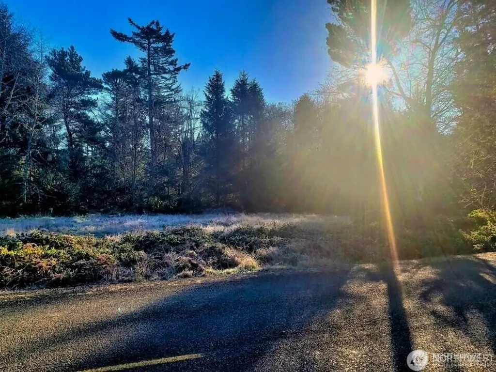 30510 O Place Ocean Park WA 98640