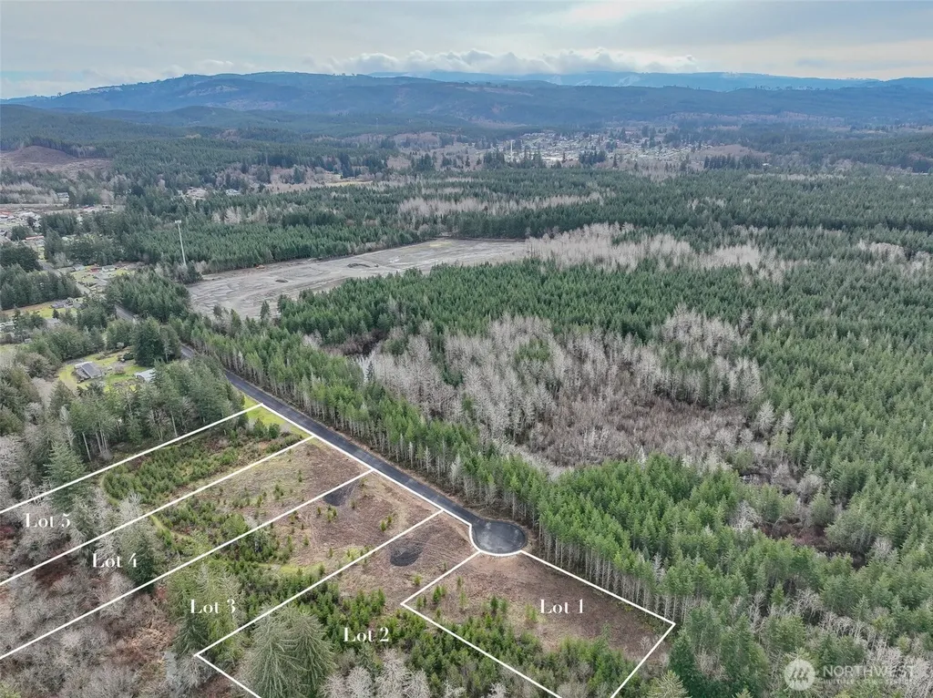 110 Larson Road Mccleary WA 98557