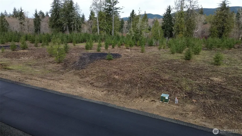 110 Larson Road Mccleary WA 98557