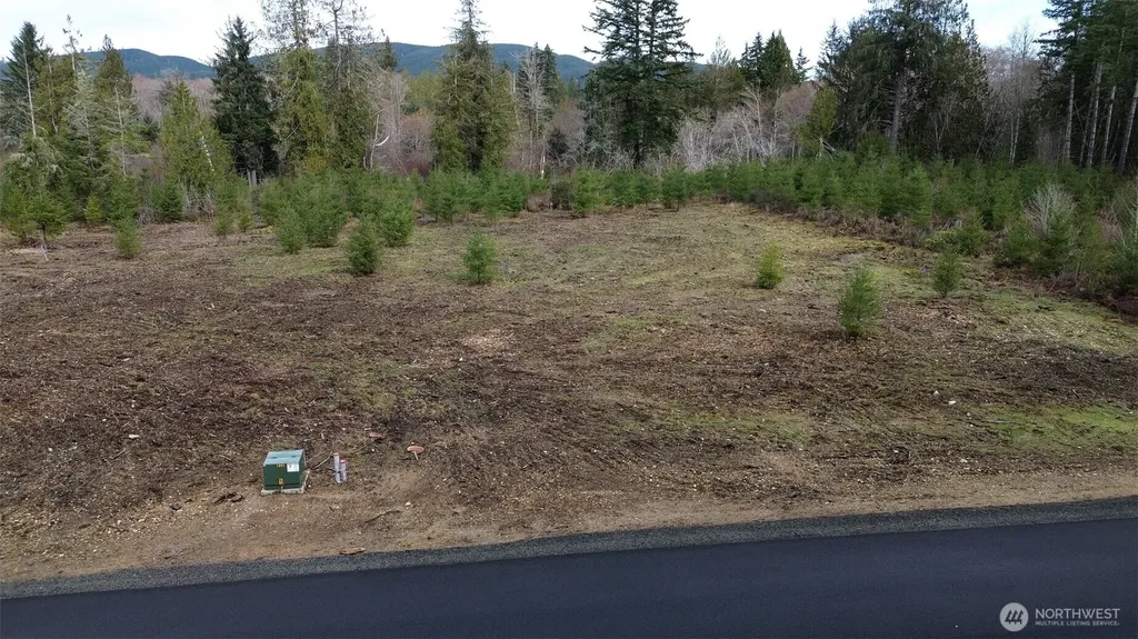 110 Larson Road Mccleary WA 98557