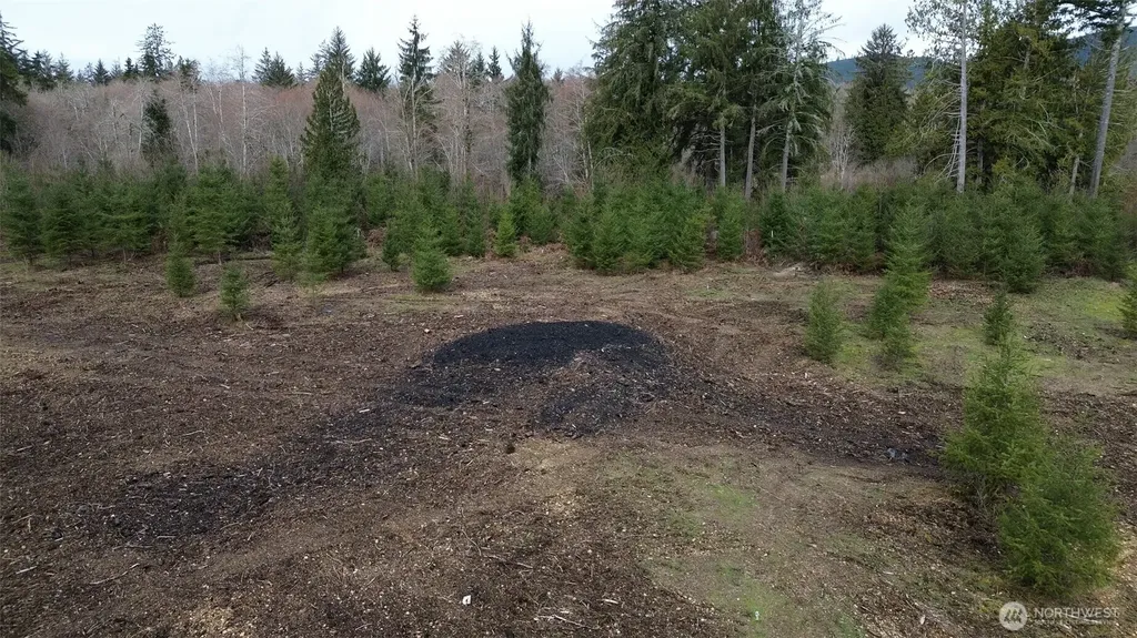 110 Larson Road Mccleary WA 98557