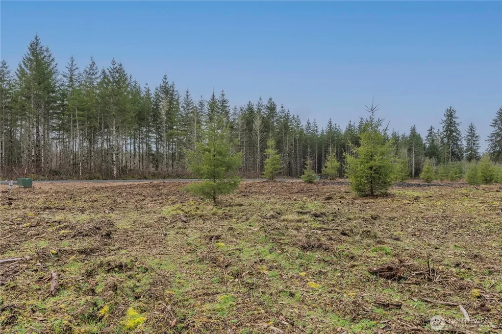 110 Larson Road Mccleary WA 98557