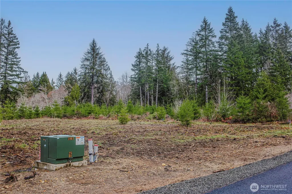 110 Larson Road Mccleary WA 98557