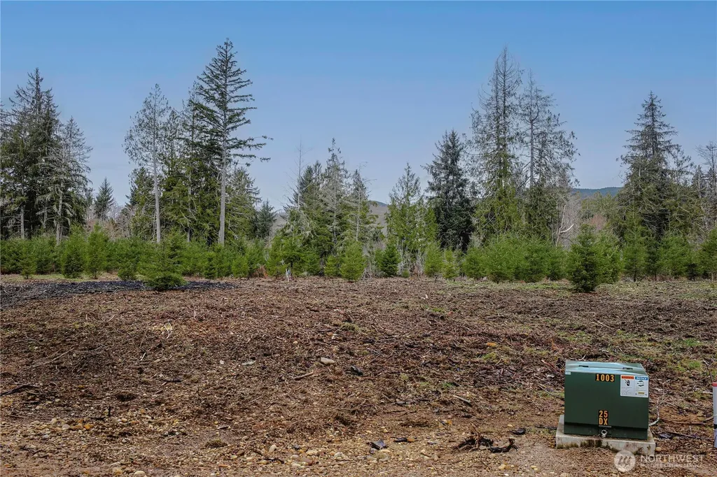110 Larson Road Mccleary WA 98557