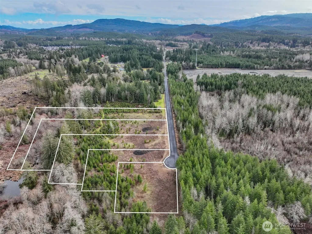 110 Larson Road Mccleary WA 98557