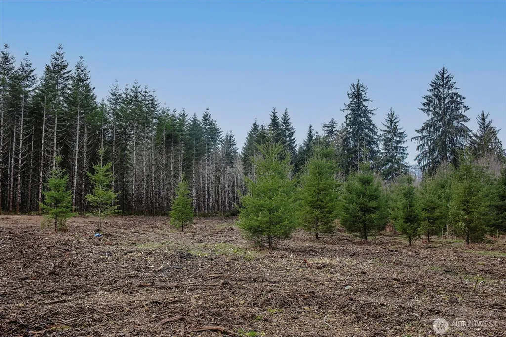 110 Larson Road Mccleary WA 98557