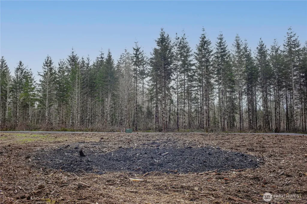 110 Larson Road Mccleary WA 98557