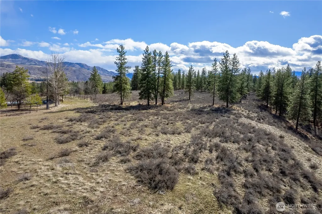 40 Rabbit House Road Winthrop WA 98862