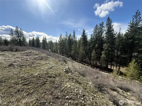40 Rabbit House Road Winthrop WA 98862