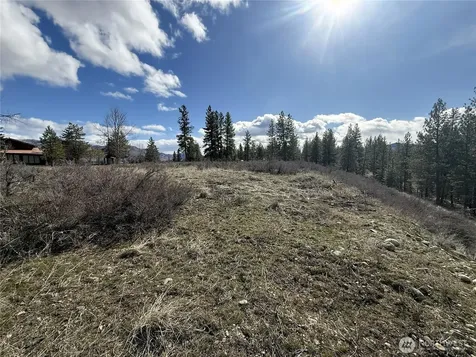 40 Rabbit House Road Winthrop WA 98862