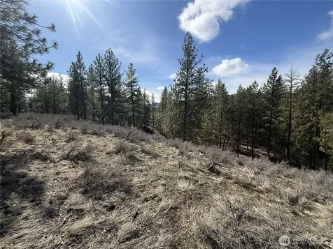 40 Rabbit House Road Winthrop WA 98862