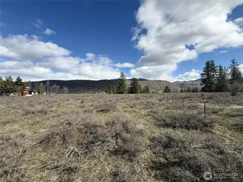 40 Rabbit House Road Winthrop WA 98862