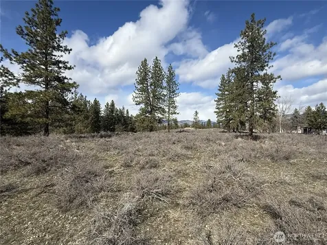 40 Rabbit House Road Winthrop WA 98862