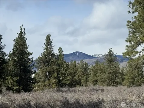 40 Rabbit House Road Winthrop WA 98862