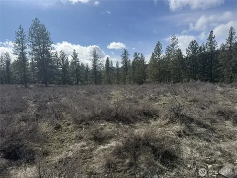 40 Rabbit House Road Winthrop WA 98862