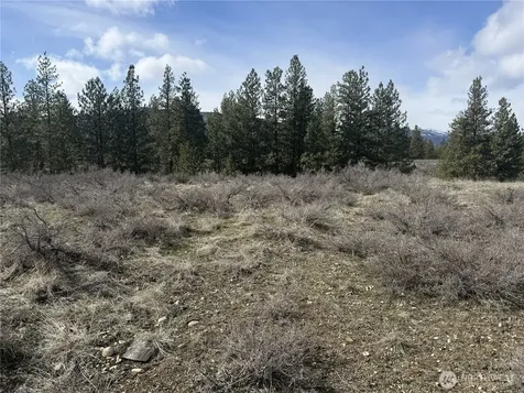 40 Rabbit House Road Winthrop WA 98862