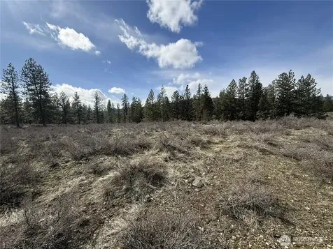 40 Rabbit House Road Winthrop WA 98862
