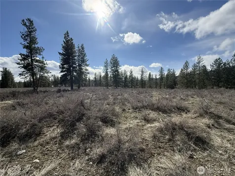 40 Rabbit House Road Winthrop WA 98862