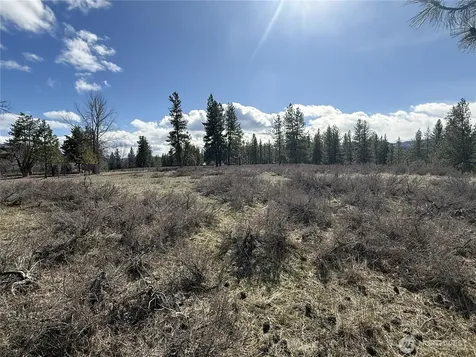 40 Rabbit House Road Winthrop WA 98862