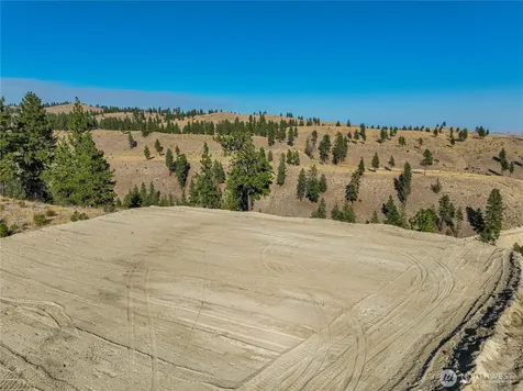 0 Evergreen Camp Rd. Parcel B Chelan WA 98816