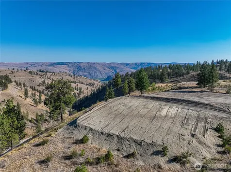 0 Evergreen Camp Rd. Parcel B Chelan WA 98816