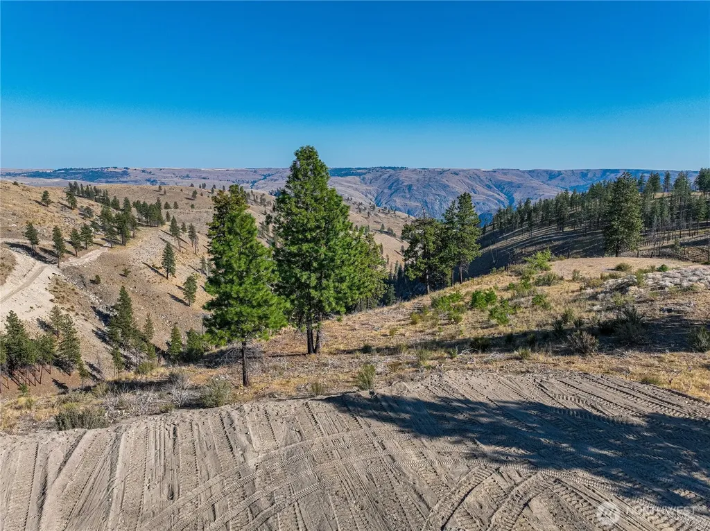 0 Evergreen Camp Rd. Parcel C Chelan WA 98816