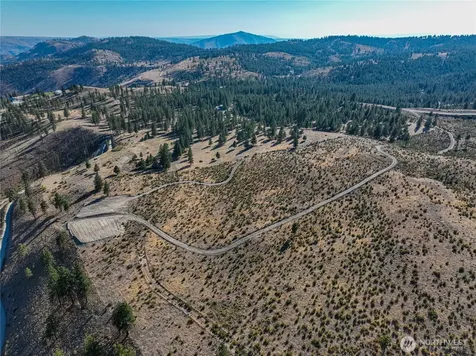 0 Evergreen Camp Rd. Parcel C Chelan WA 98816