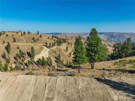 0 Evergreen Camp Rd. Parcel C Chelan WA 98816